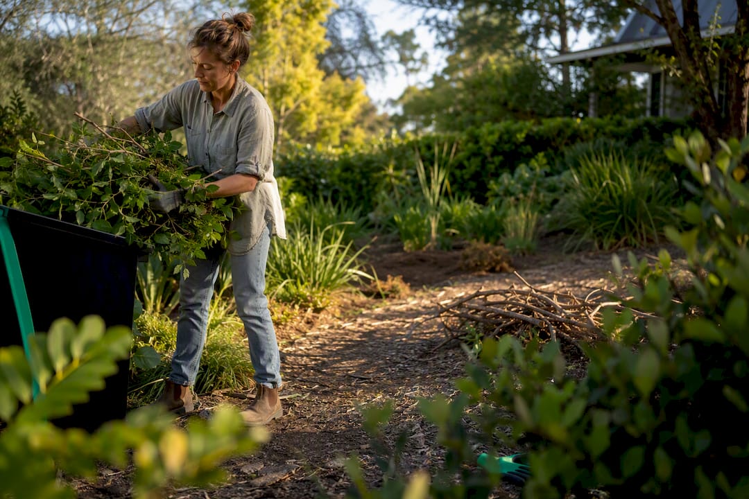 Homeowner loading garden prunings for cleanup